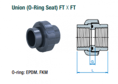 Union (O-Ring)