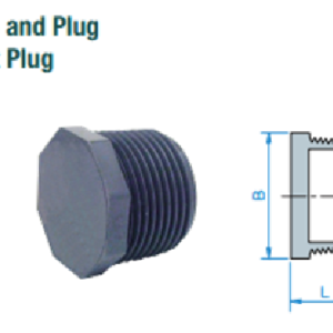 Plug
